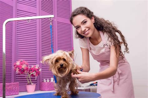 pet groomer wage